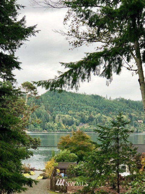 12430 Northeast North Shore Road Belfair, WA 98528 - Photo 9 of 9 Gallery Image 9