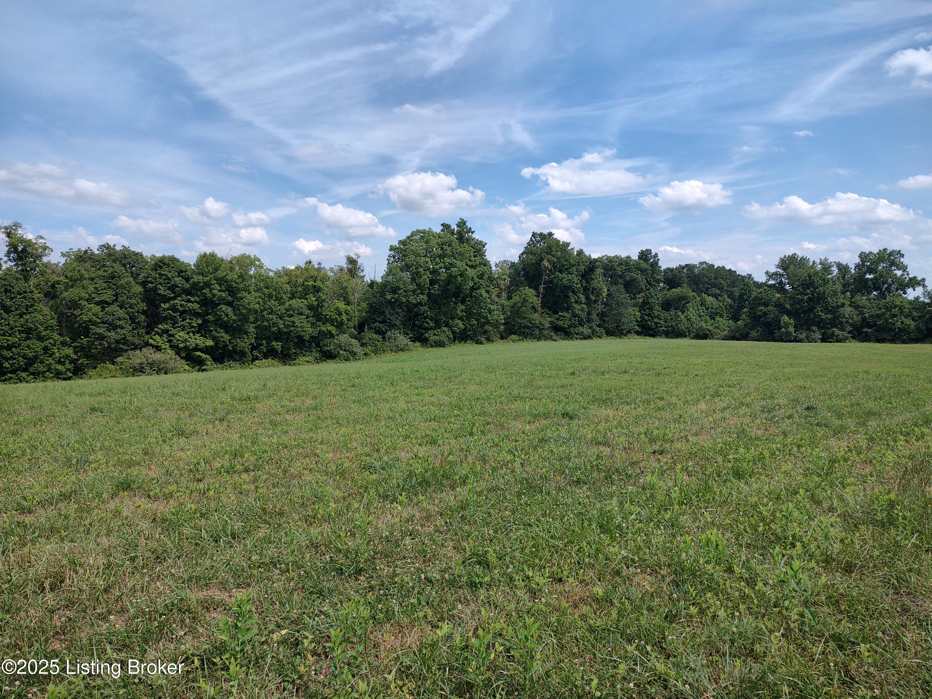 9160 East Tate Ridge Road Madison, IN 47250 - Photo 3 of 18 3