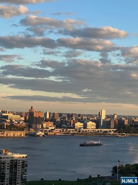 2 Horizon Road, Unit 1423 Fort Lee, NJ 07024 - Photo 11 of 30 a view of a city and lake