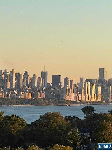 2 Horizon Road, Unit 1423 Fort Lee, NJ 07024 - Photo 12 of 30