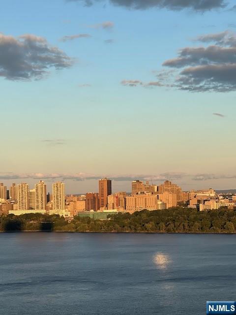 2 Horizon Road, Unit 1423 Fort Lee, NJ 07024 - Photo 13 of 30 a view of an ocean