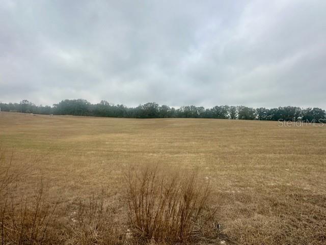 Northwest 31st Street Bell, FL 32619 - Photo 1 of 12 a view of a lake view