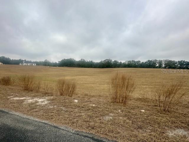 Northwest 31st Street Bell, FL 32619 - Photo 8 of 12 a view of a lake with a big yard