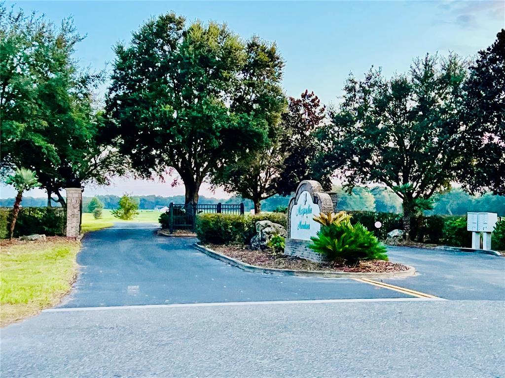 Northwest 31st Street Bell, FL 32619 - Photo 10 of 12 a view of a garden with trees