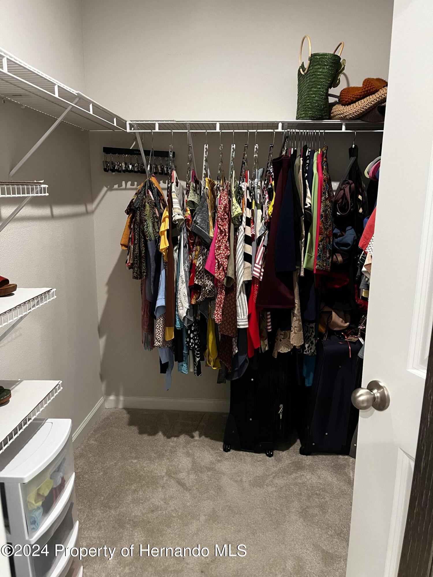 12214 Grizzly Lane New Port Richey, FL 34654 - Photo 32 of 49 a view of walk in closet with clothes and shoes