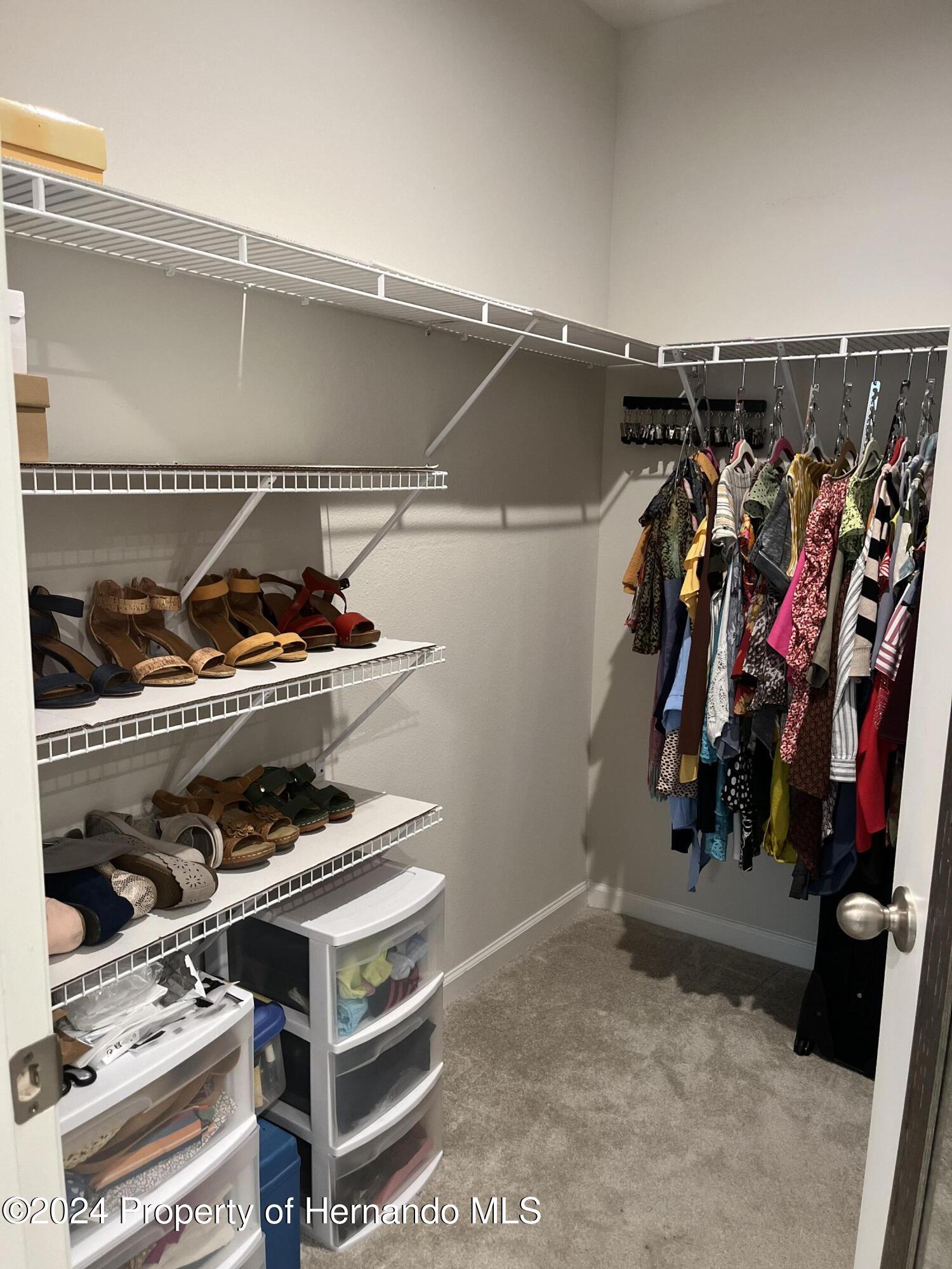 12214 Grizzly Lane New Port Richey, FL 34654 - Photo 33 of 49 a view of walk in closet with clothes and shoes