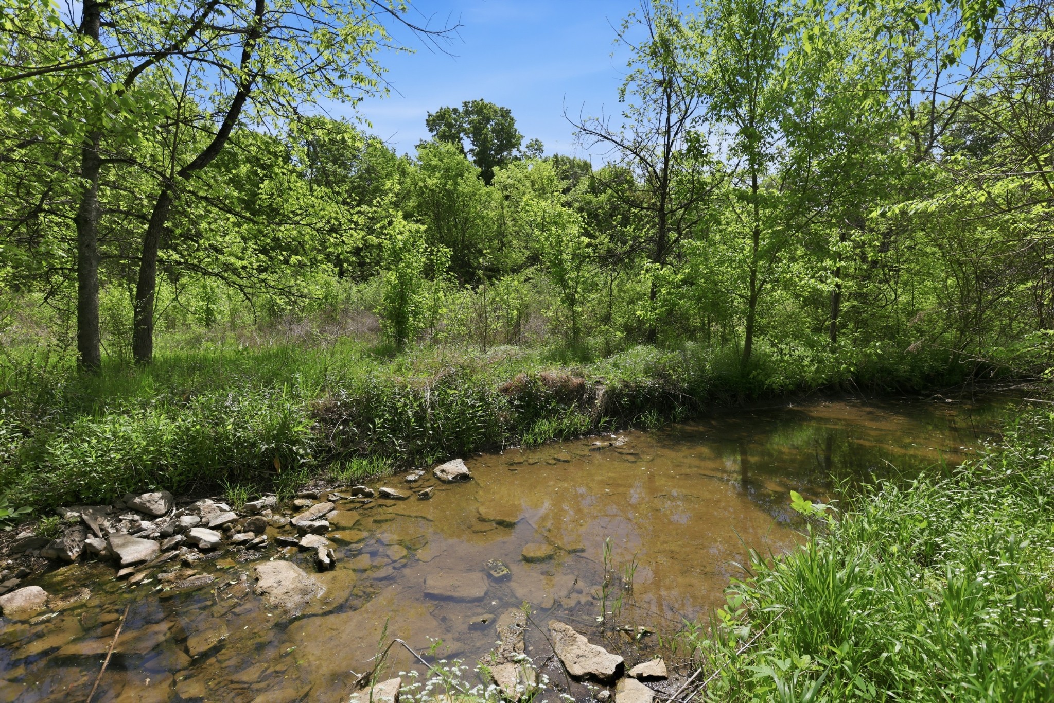 826 Old Rome Pike Lebanon, TN 37087 - Photo 49 of 65 Gallery Image 49