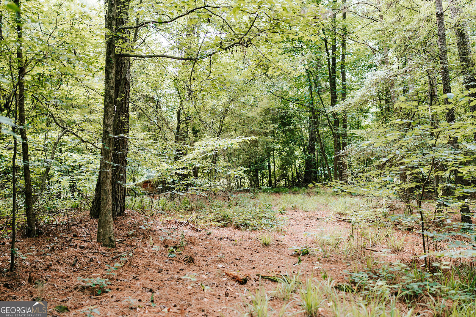 0 Stephens Salem Road Stephens, GA 30667 - Photo 5 of 43