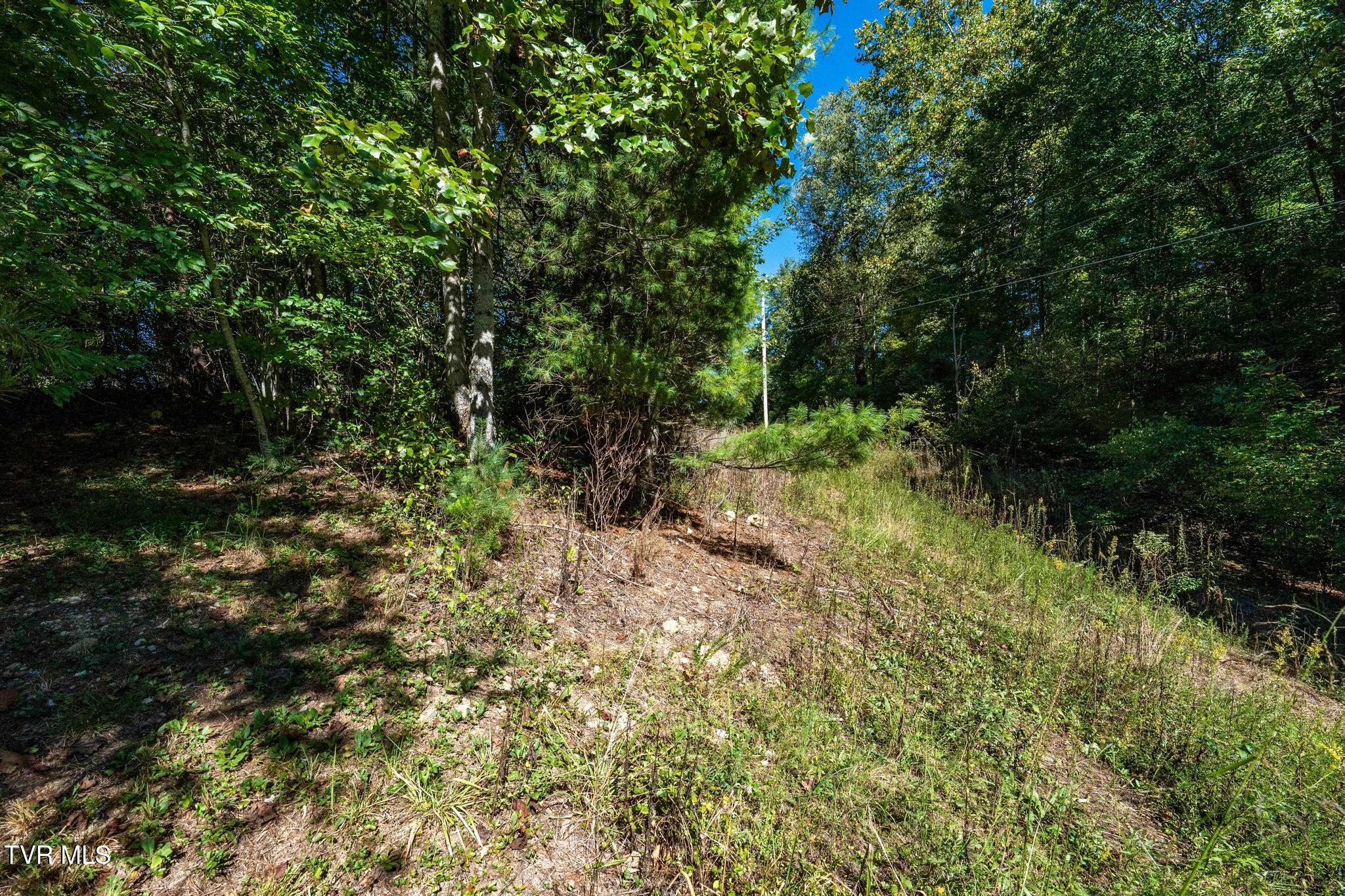1111 R D Campbell Road, Unit 9 & 10 Butler, TN 37640 - Photo 15 of 34 1111 RD Campbell Road (38 of 41)