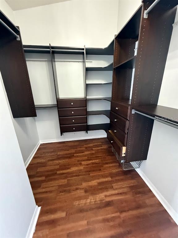 1567 Blue Magnolia Road Brandon, FL 33510 - Photo 17 of 22