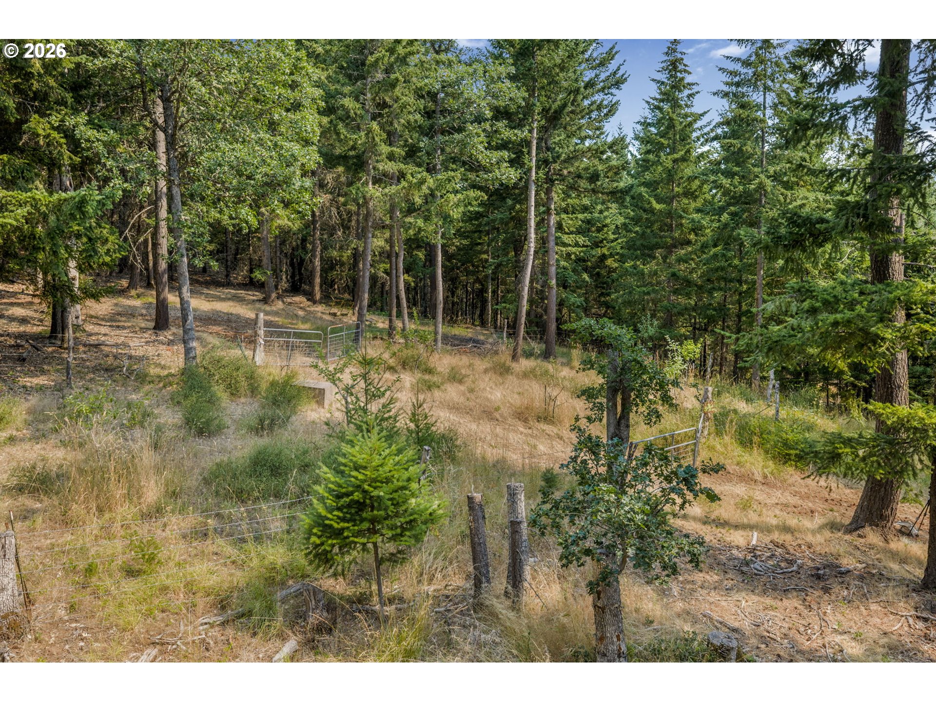 Lyle Snowden Road Lyle, WA 98635 - Photo 6 of 36 Gallery Image 6