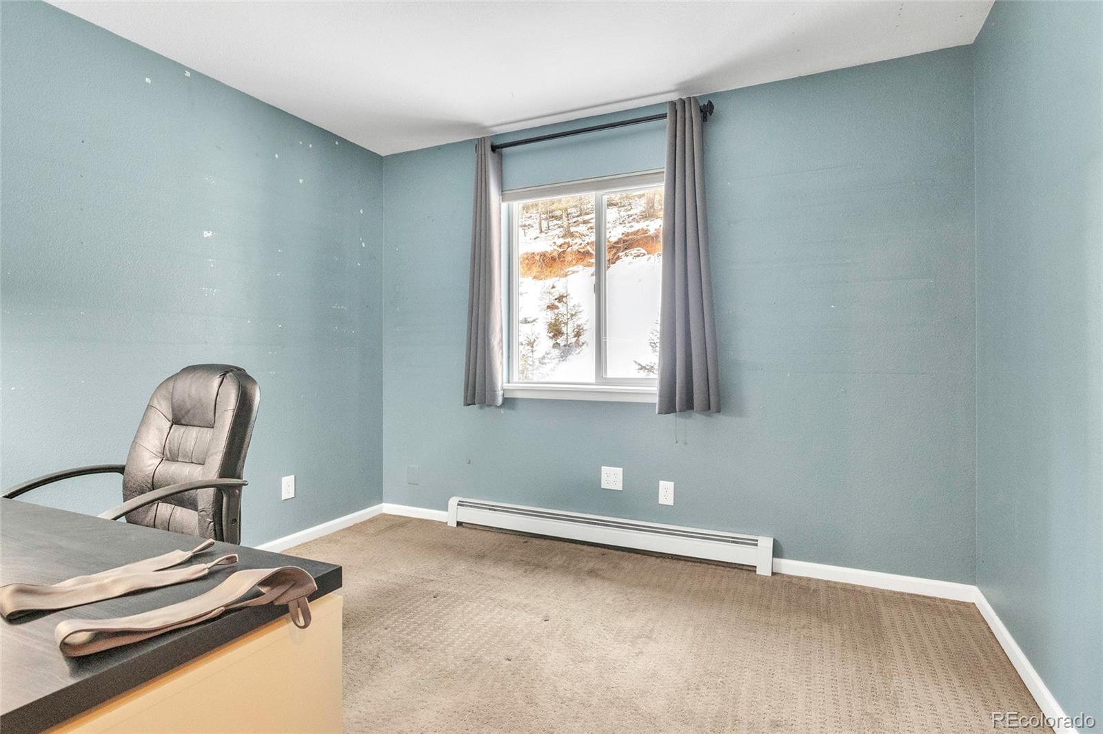 809 Roland Drive Bailey, CO 80421 - Photo 13 of 22