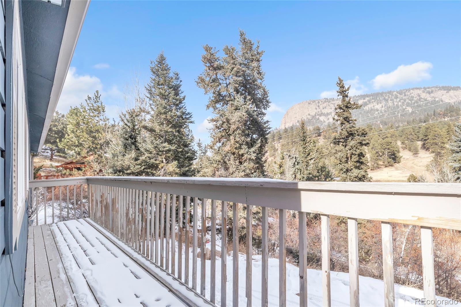 809 Roland Drive Bailey, CO 80421 - Photo 21 of 22