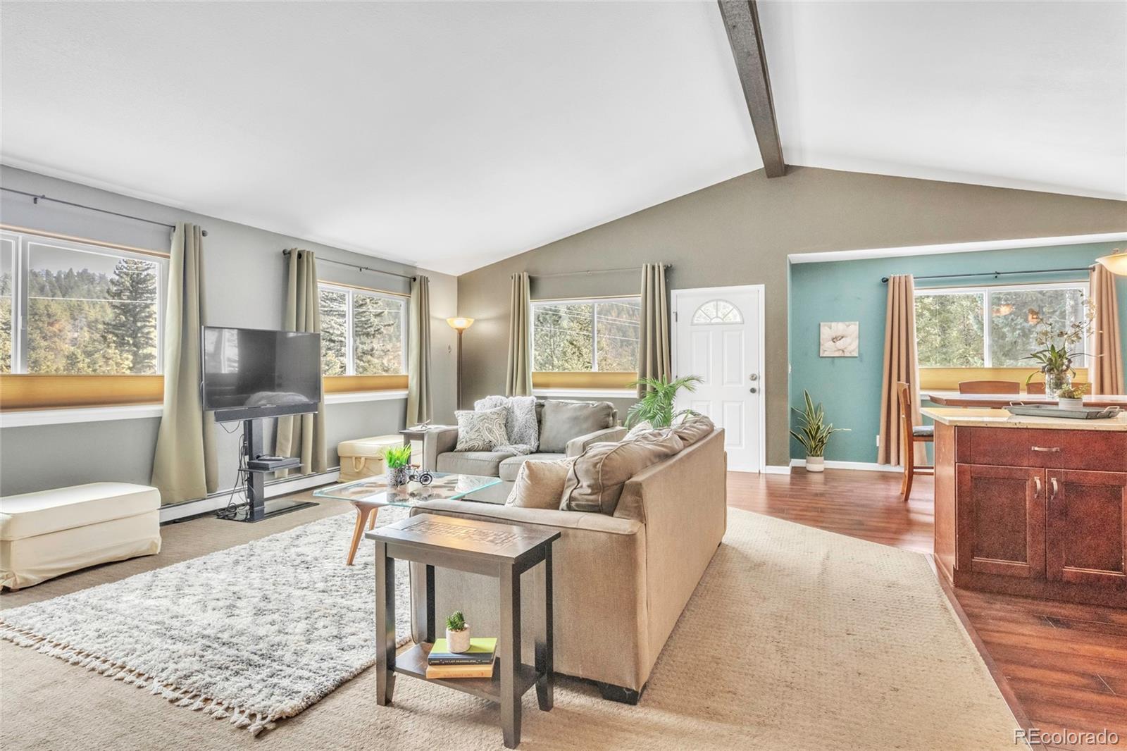 809 Roland Drive Bailey, CO 80421 - Photo 3 of 22