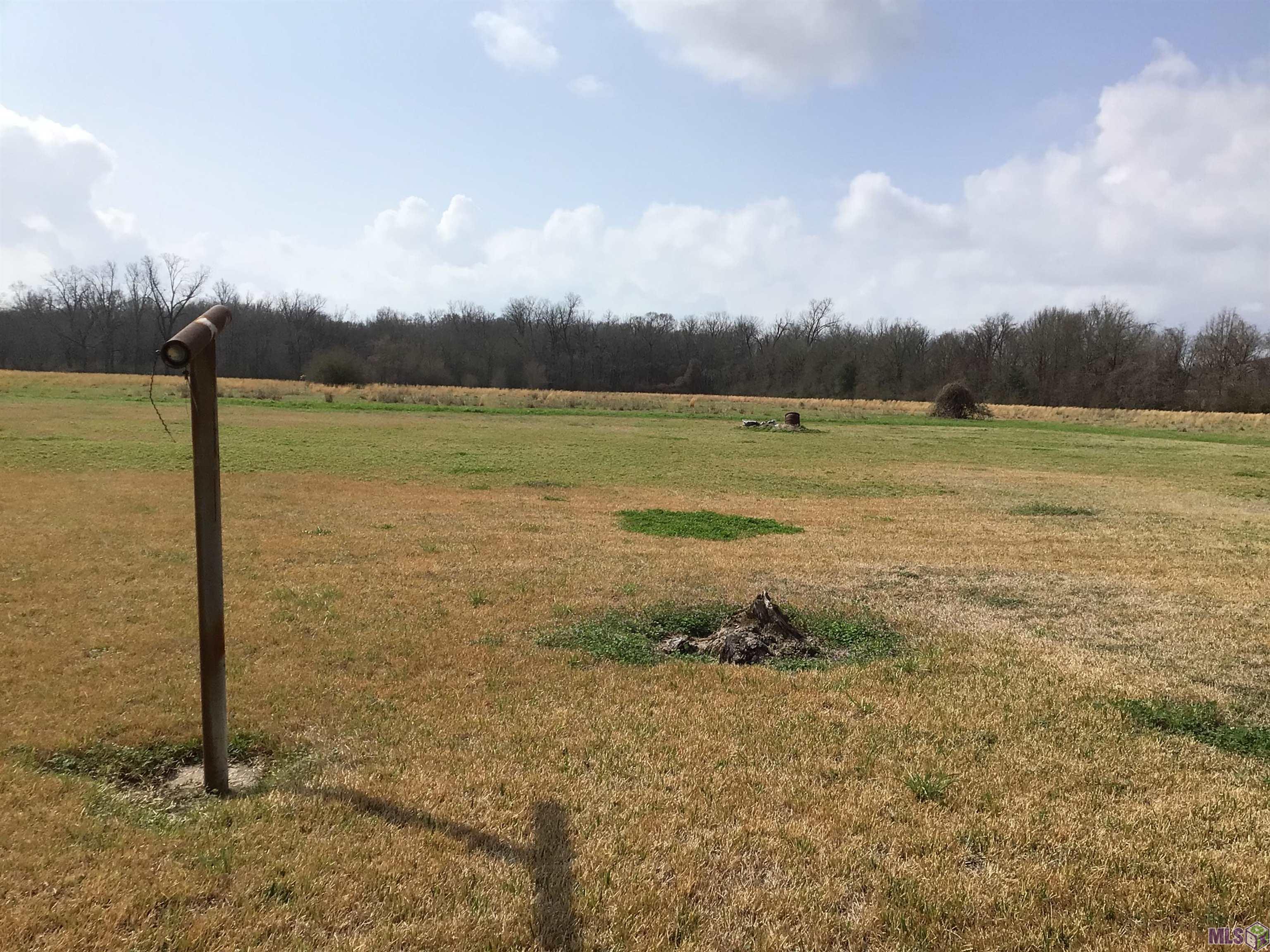 13266 Ventress Road Ventress, LA 70783 - Photo 16 of 16 Back Yard