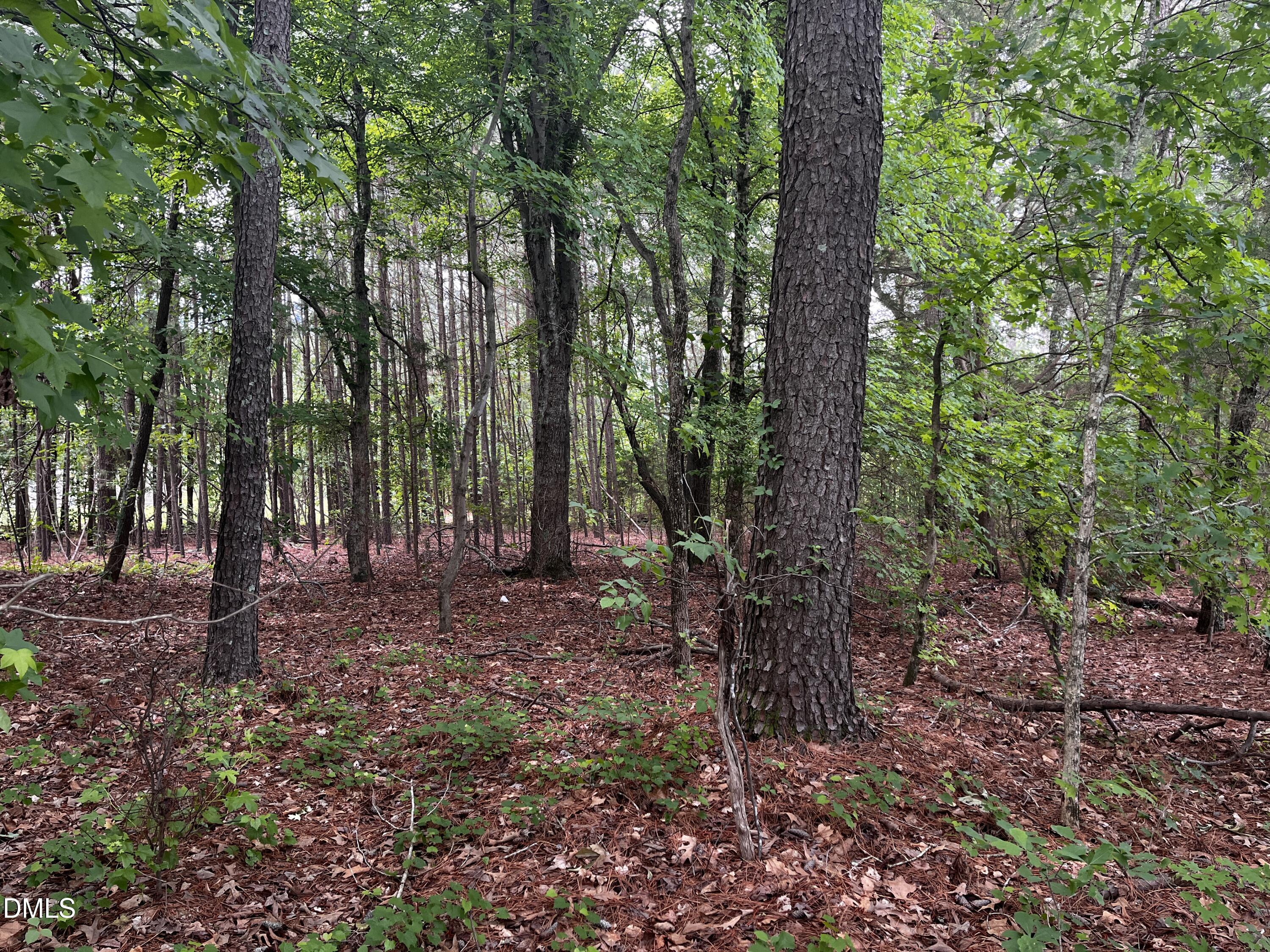 0 Bear Pond Road Henderson, NC 27537 - Photo 3 of 12 a view of outdoor space with lots of green space and trees