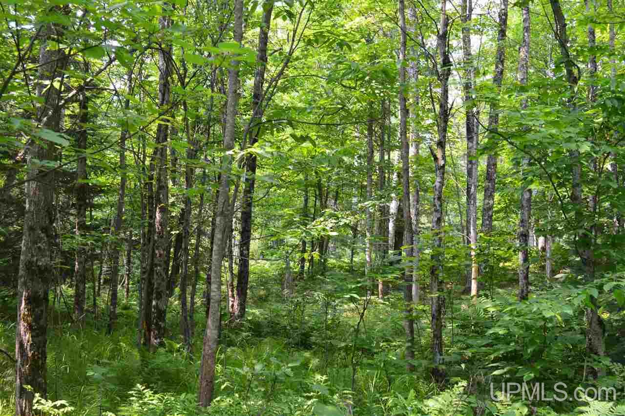 Tbd Herman Road Lanse, MI 49946 - Photo 15 of 50 Gallery Image 15