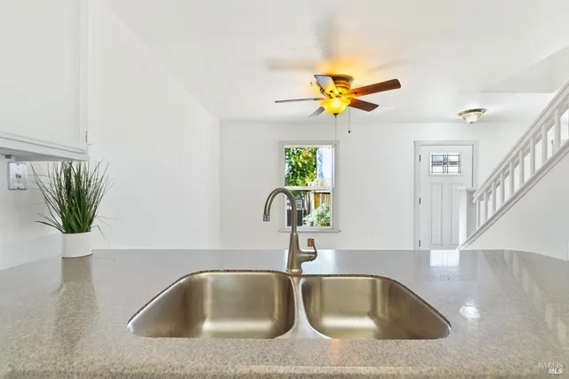 a sink with a potted plant