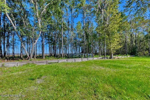 a view of a park with a tree