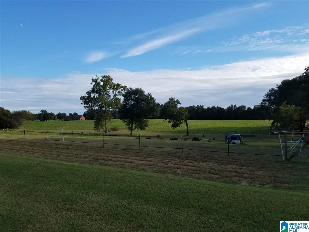 1602 River Bend Road Altoona, AL 35952 - Photo 27 of 34