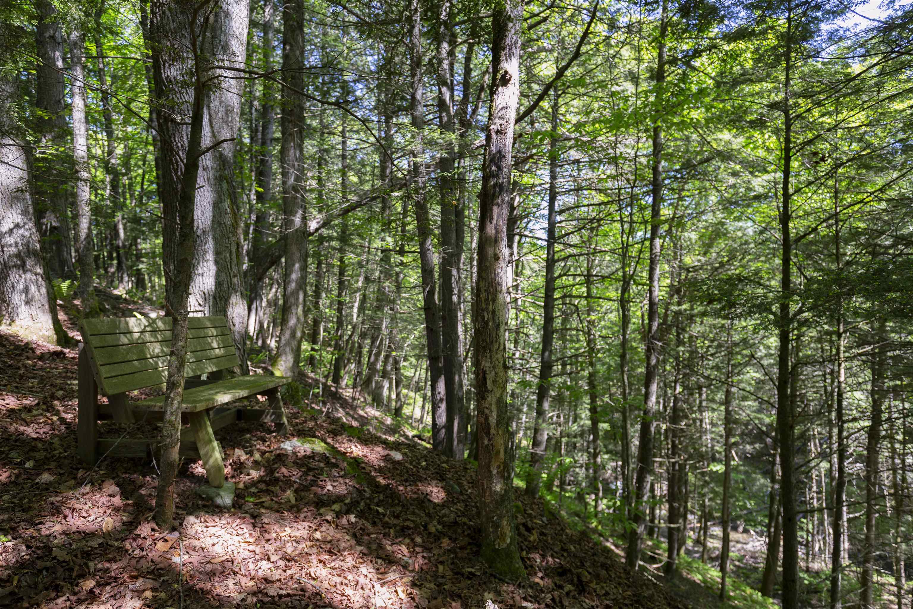 794 Sawnee Bean Road Thetford, VT 05075 - Photo 42 of 45