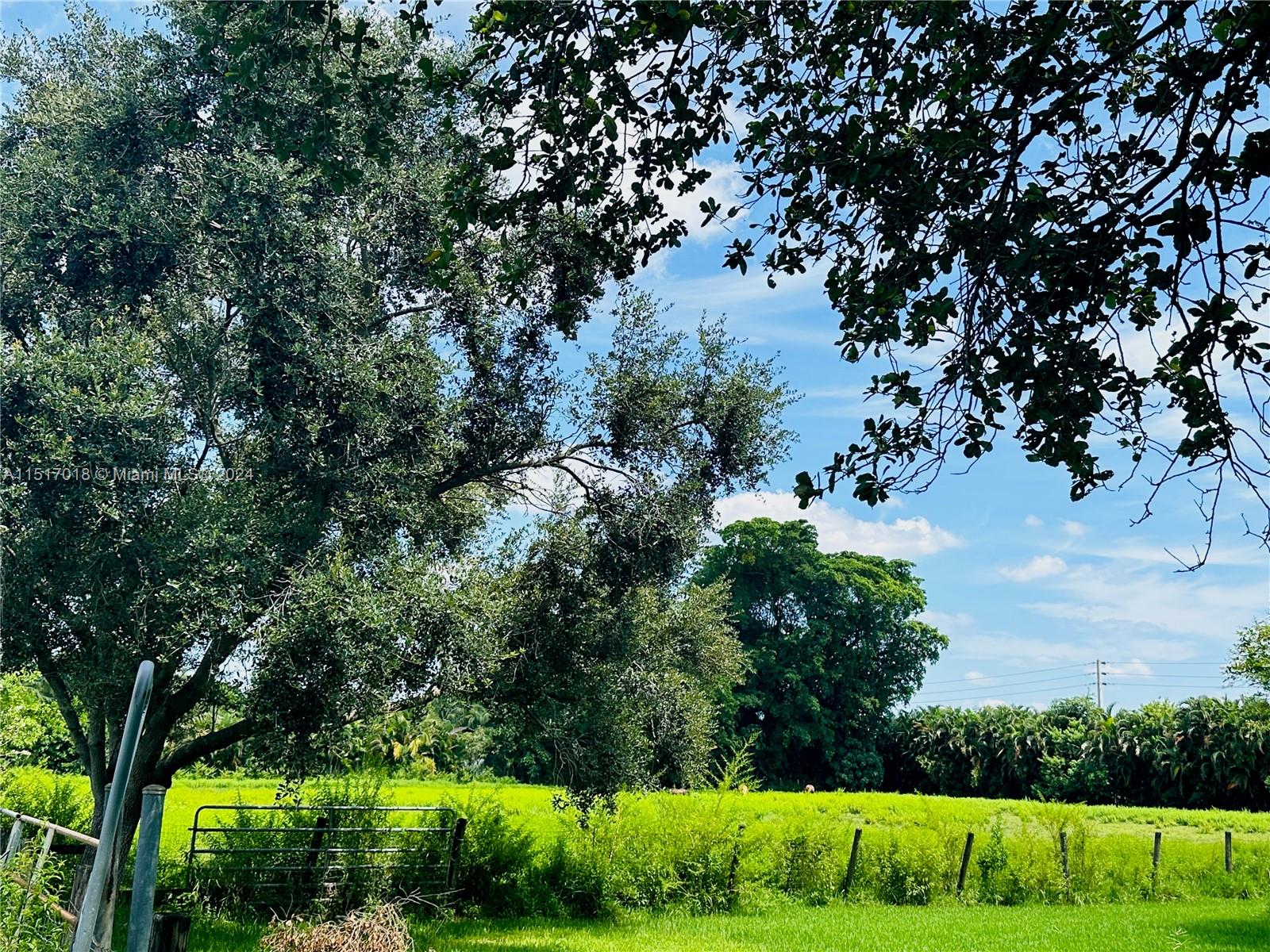 5901 Southwest 160th Avenue Southwest Ranches, FL 33331 - Photo 77 of 92 Pasture