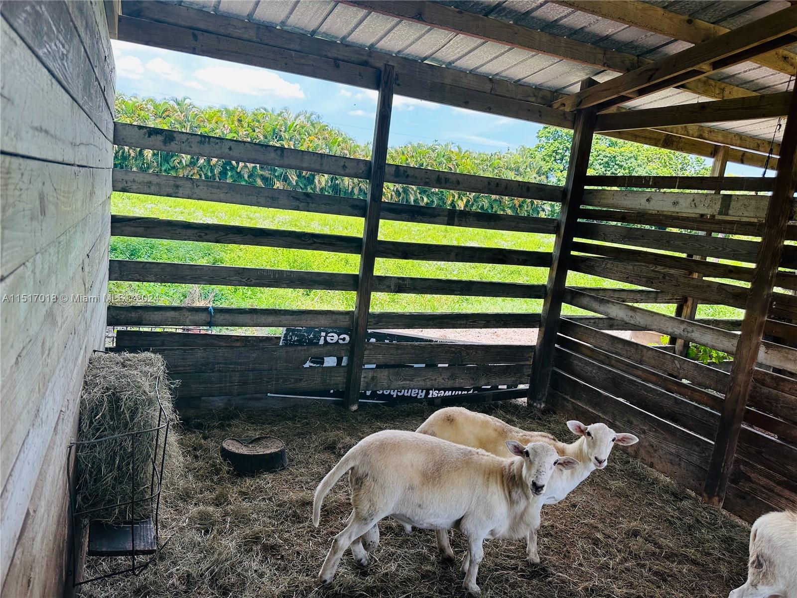 5901 Southwest 160th Avenue Southwest Ranches, FL 33331 - Photo 89 of 92