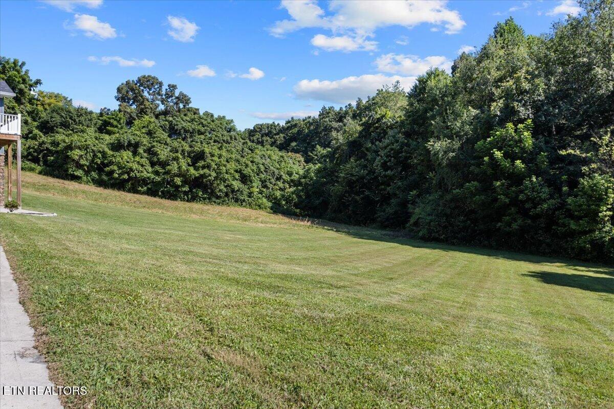 430 Cherokee Cove Rutledge, TN 37861 - Photo 44 of 53 40-IMG_2524
