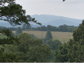 64 East Allens Bridge Road Greeneville, TN 37743 - Photo 5 of 21 Your view from carport