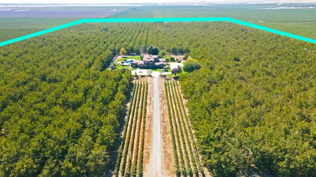 a view of a large garden with an outdoor space