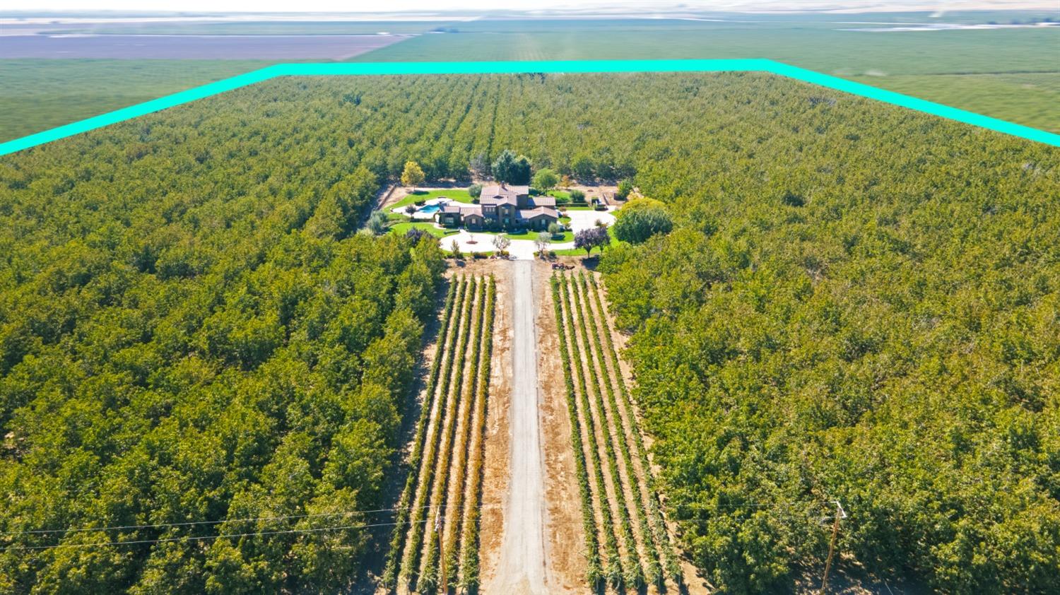 a view of a large garden with an outdoor space