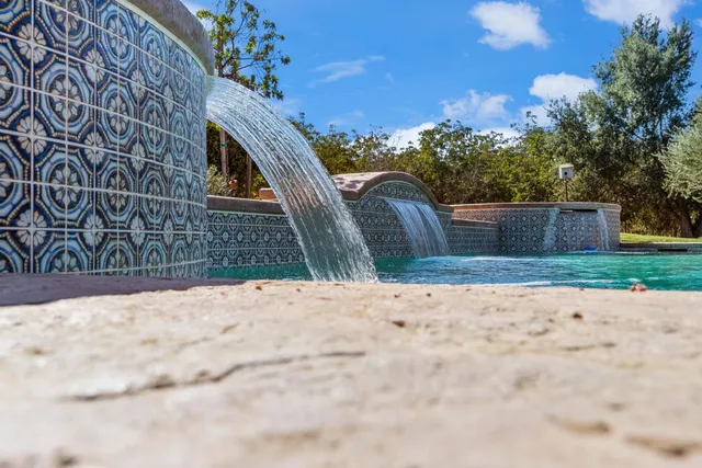 a view of a park with large trees