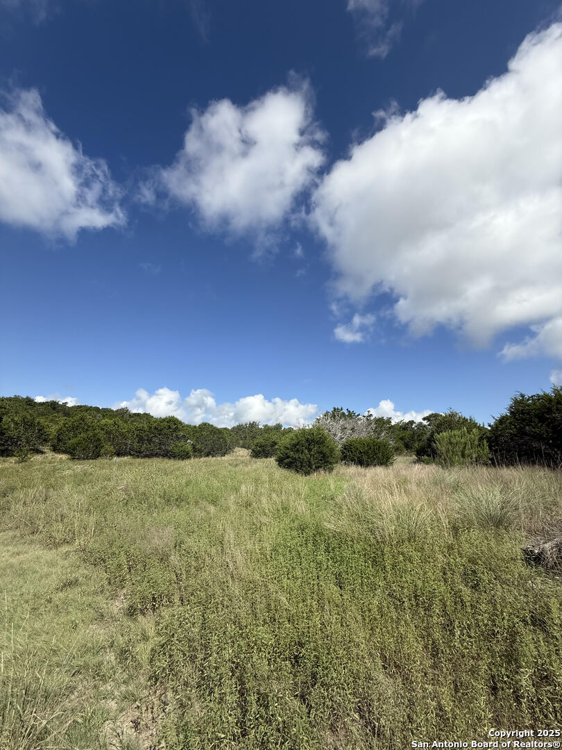 564 Rock Trail Place Spring Branch, TX 78070 - Photo 6 of 8