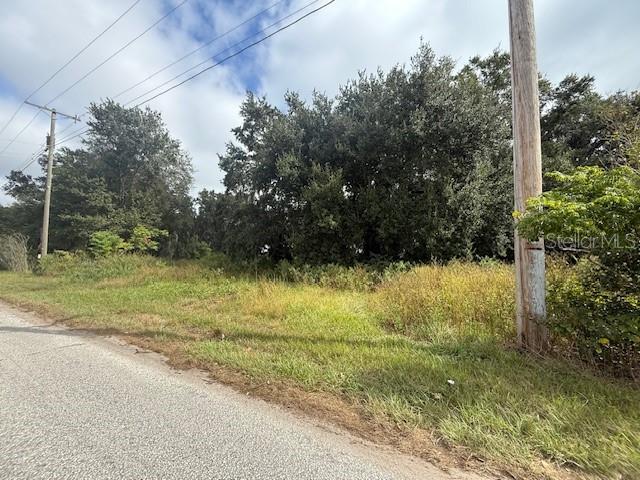 4202 Drawdy Road Plant City, FL 33567 - Photo 3 of 8 a view of a yard