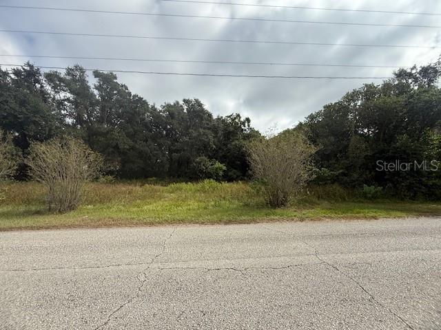 4202 Drawdy Road Plant City, FL 33567 - Photo 5 of 8 a view of a yard