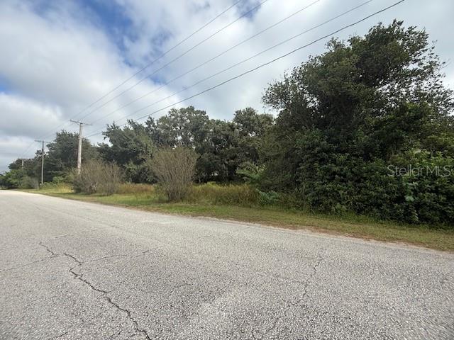 4202 Drawdy Road Plant City, FL 33567 - Photo 7 of 8 a view of a yard with large trees