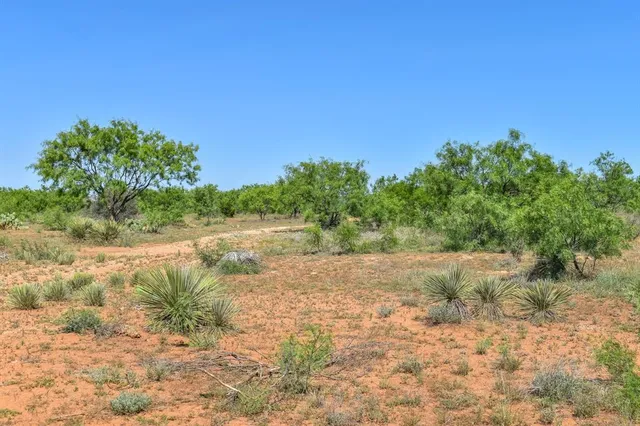 a view of a lush green space with sea