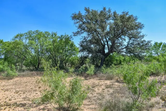 a view of a lush green space