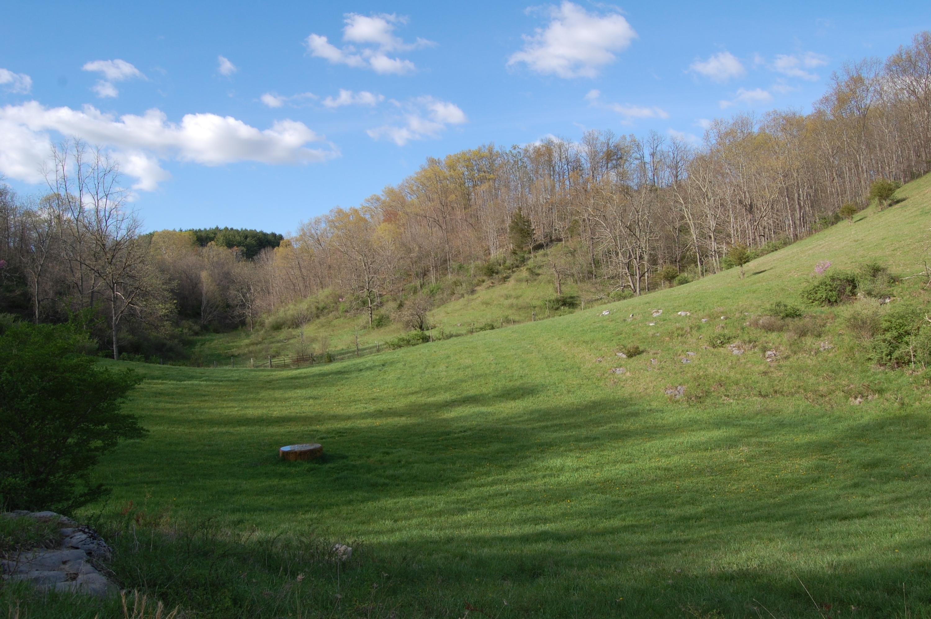 3846 Carroll Hill Road Lewisburg, WV 24901 - Photo 22 of 51 DSC_5343