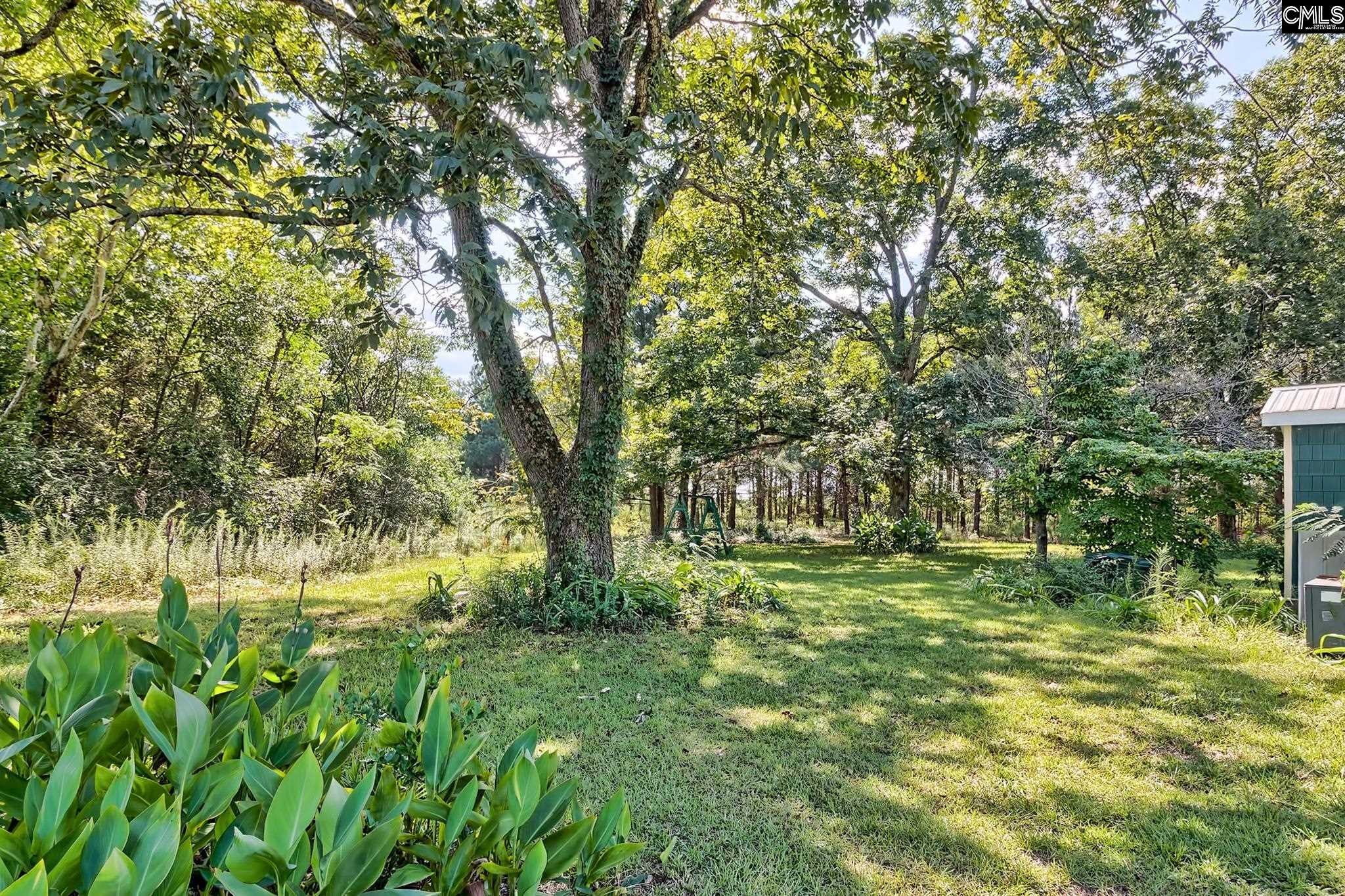 276 Bodie Road Pelion, SC 29123 - Photo 8 of 37 Gallery Image 8