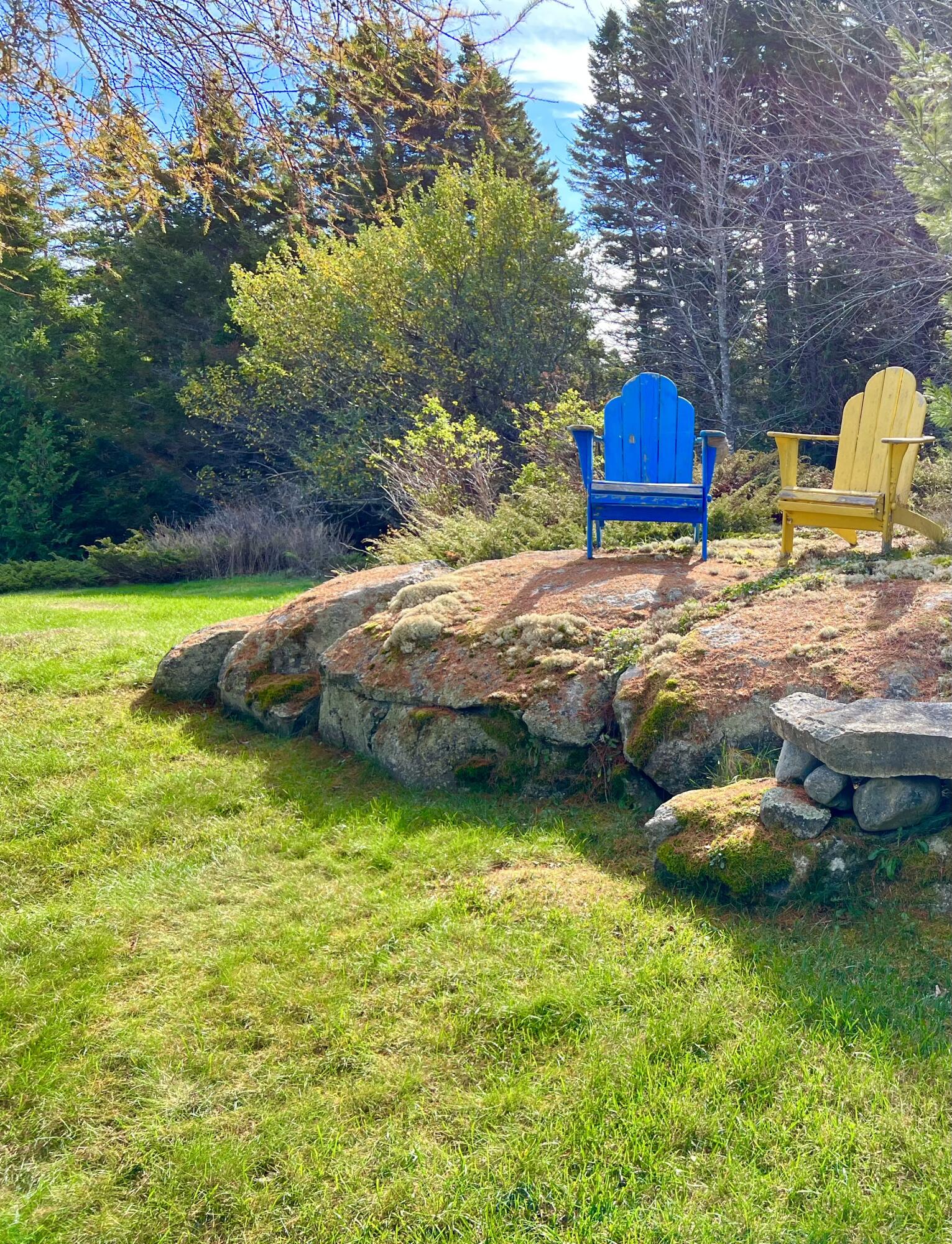 70 Burnt Hill Road Tremont, ME 04653 - Photo 63 of 69 Back yard - lawn