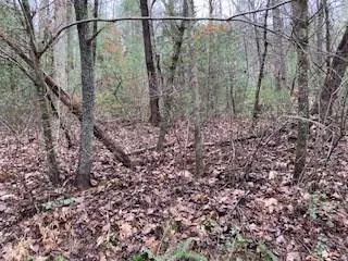 $42,900 | 53 Llama Lane, Ellijay, GA 30540