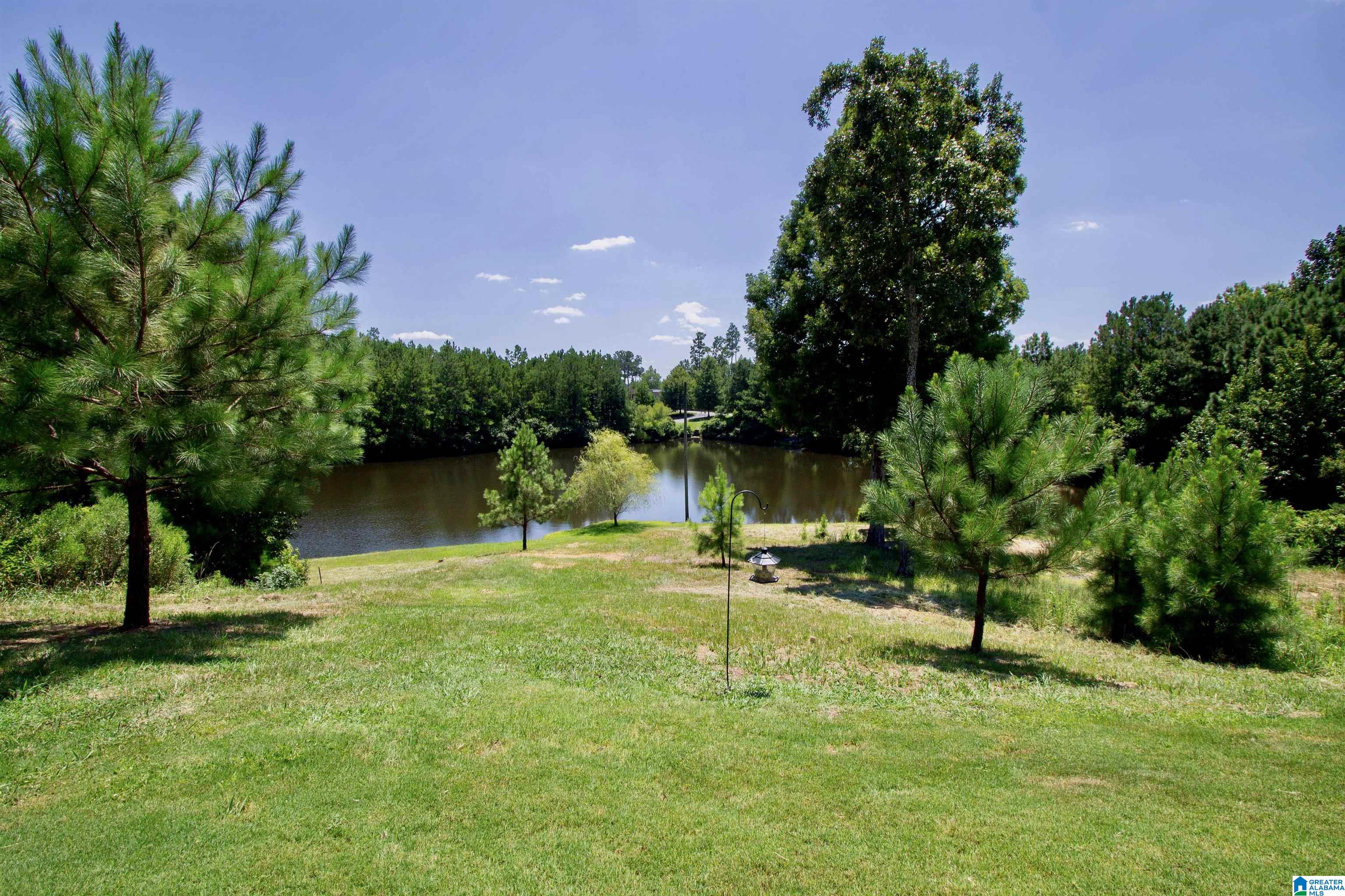 632 Foothills Trace Chelsea, AL 35043 - Photo 14 of 55