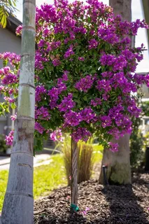 a kitchen with a sink stainless steel appliances and cabinets