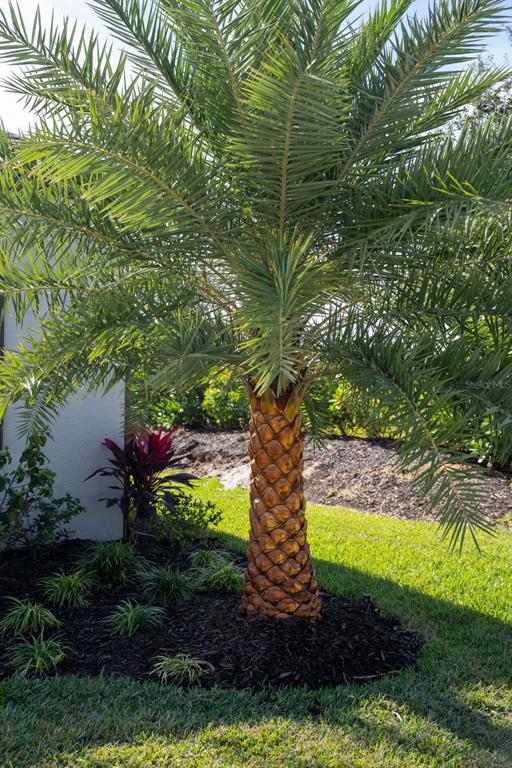 16106 Culpepper Drive Lakewood Ranch, FL 34211 - Photo 8 of 99