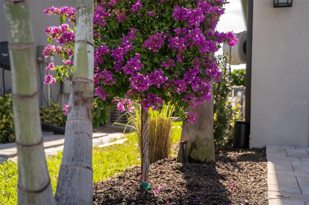 16106 Culpepper Drive Lakewood Ranch, FL 34211 - Photo 10 of 99