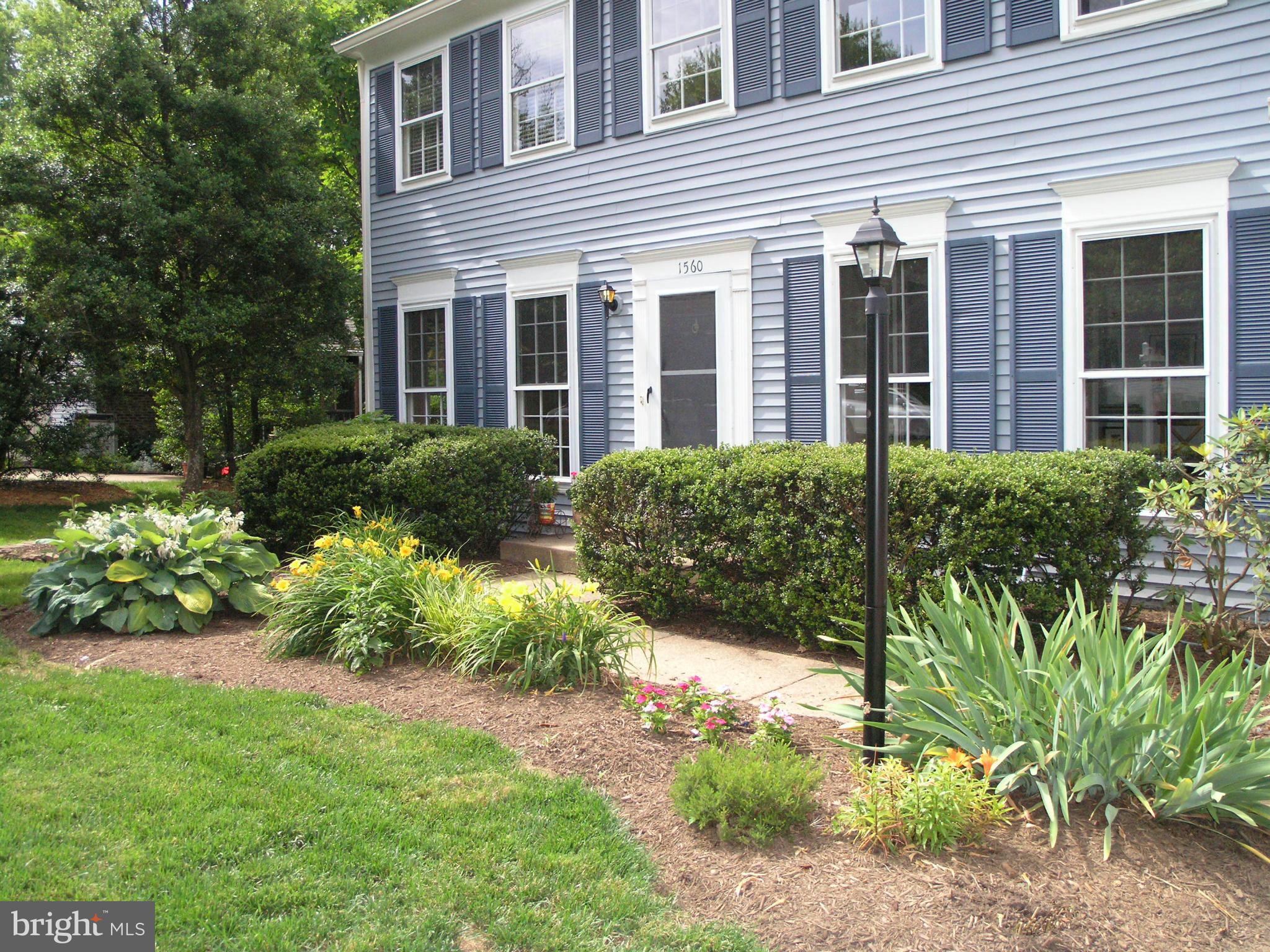 Front Gardens