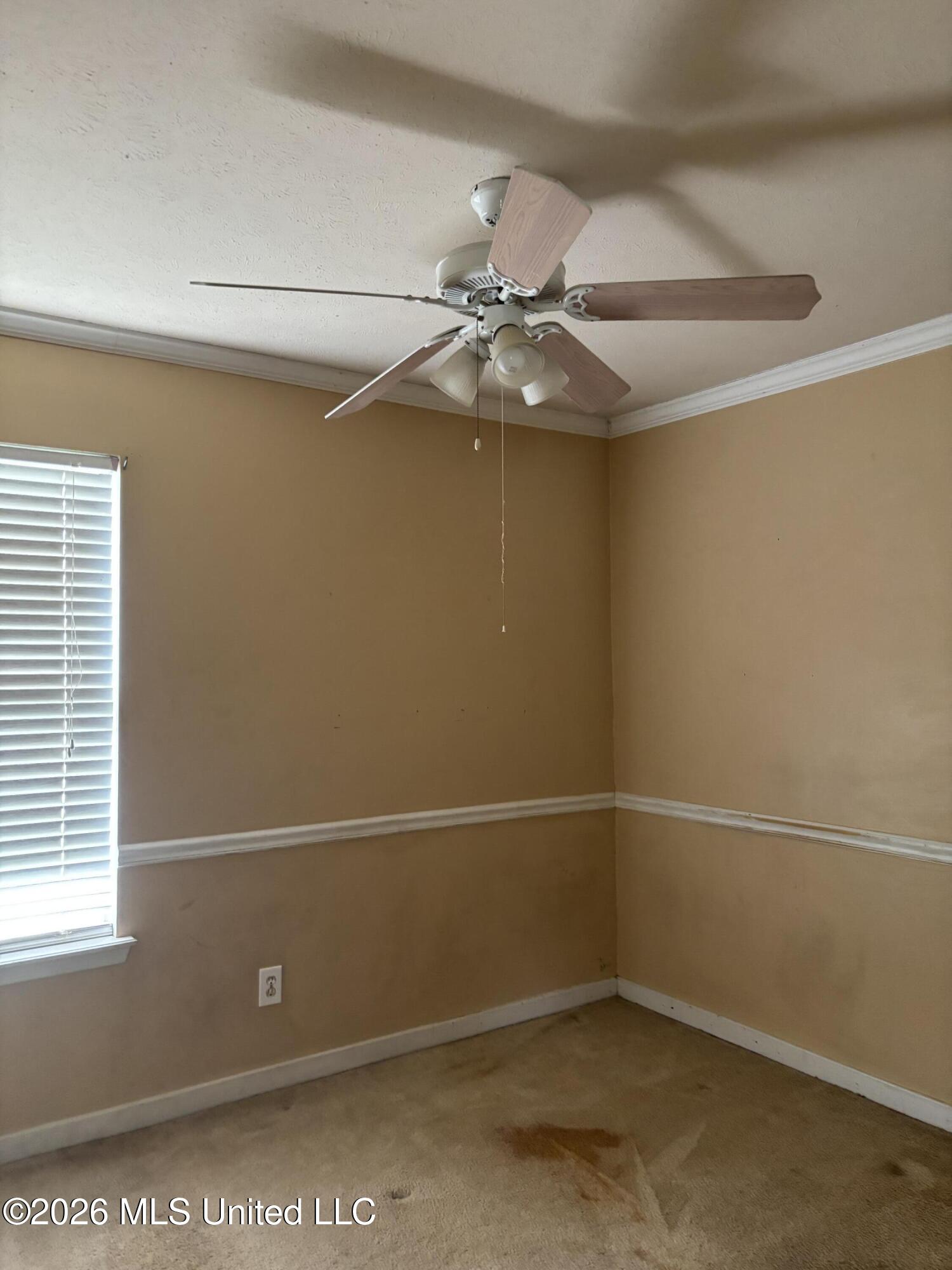 705 Tatum Drive Florence, MS 39073 - Photo 18 of 29 IMG_0521