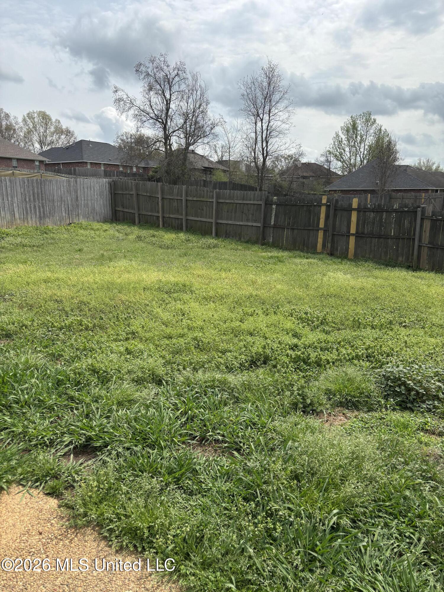 705 Tatum Drive Florence, MS 39073 - Photo 19 of 29 IMG_0519