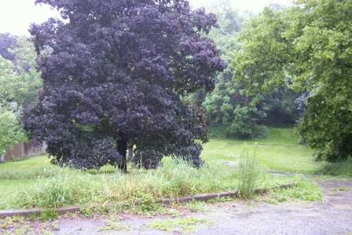 237 Churchill Road Turtle Creek, PA 15145 - Photo 3 of 6 Other.